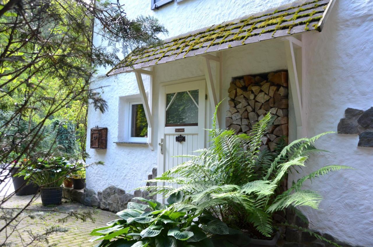 Birgits Landhaus Willingen Willingen  Ngoại thất bức ảnh
