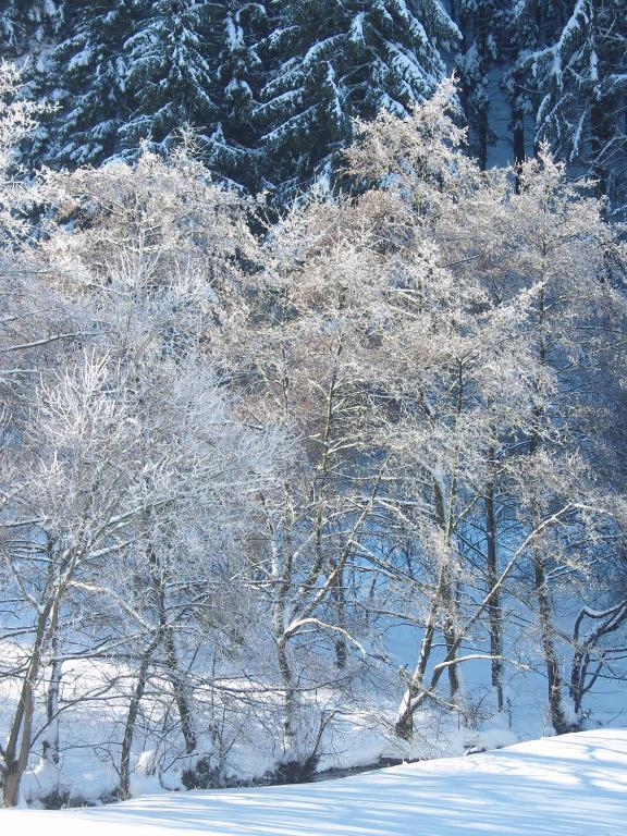 Birgits Landhaus Willingen Willingen  Ngoại thất bức ảnh